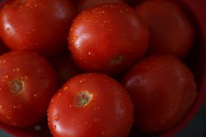 Fresh Tomatoes