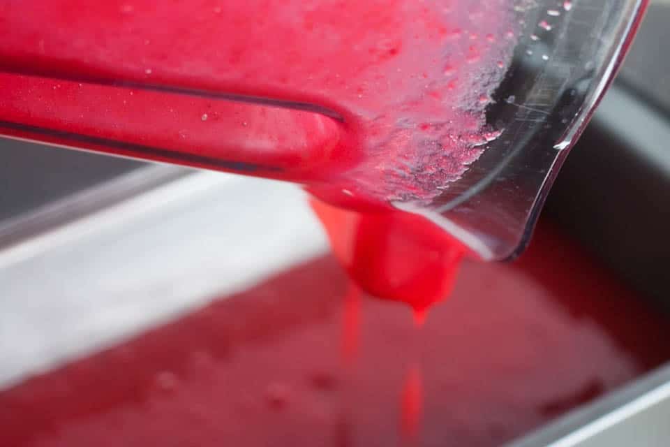 Cranberry Orange Sorbet is easy to make, delicious and takes only minutes to prepare.