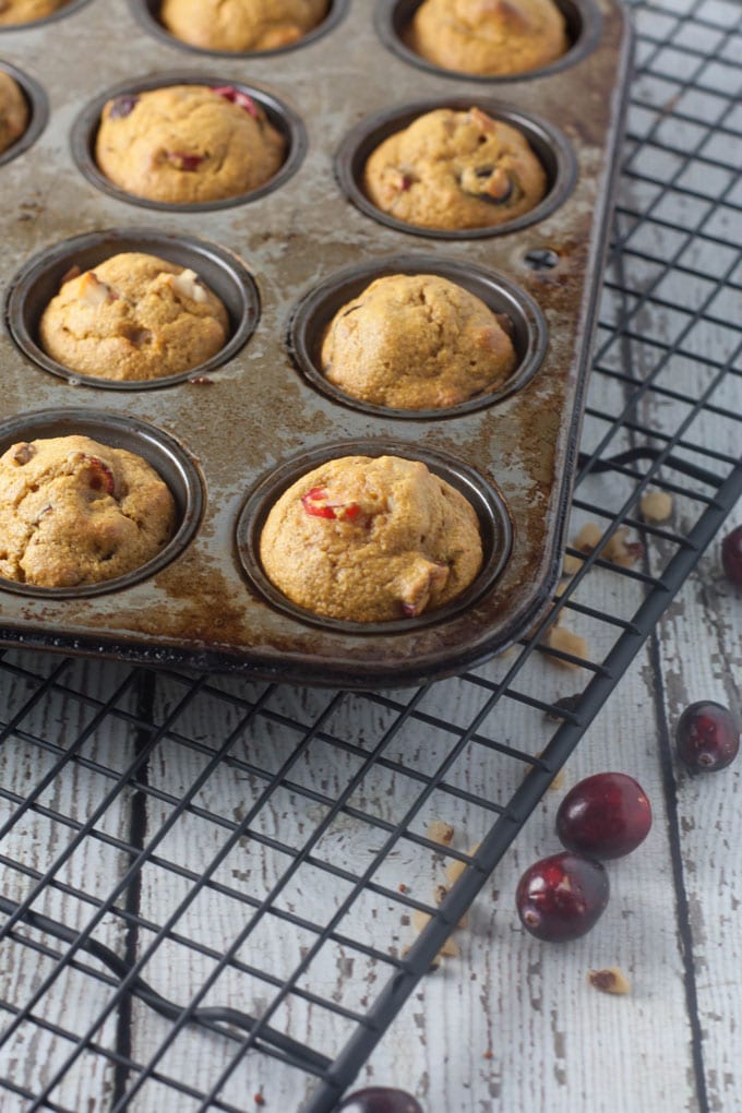 Baked muffins in muffin tin fresh out of the oven