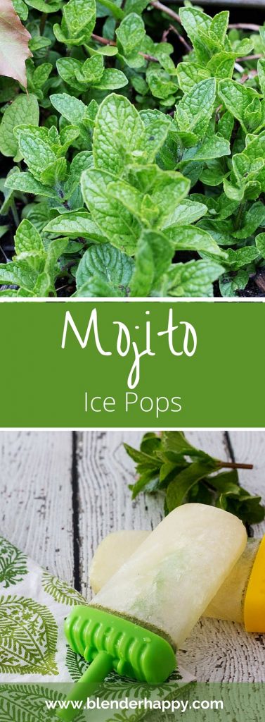 Got Mint? Mojito Ice Pops are the perfect adult treat for summer.