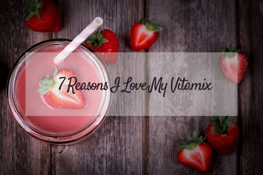 7 reasons why i love my vitamix