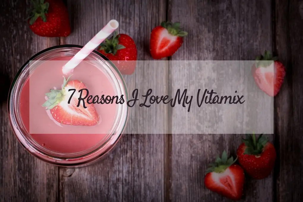 5 Reasons to Love the Vitamix S30 Blender - Ordinary Cycling Girl