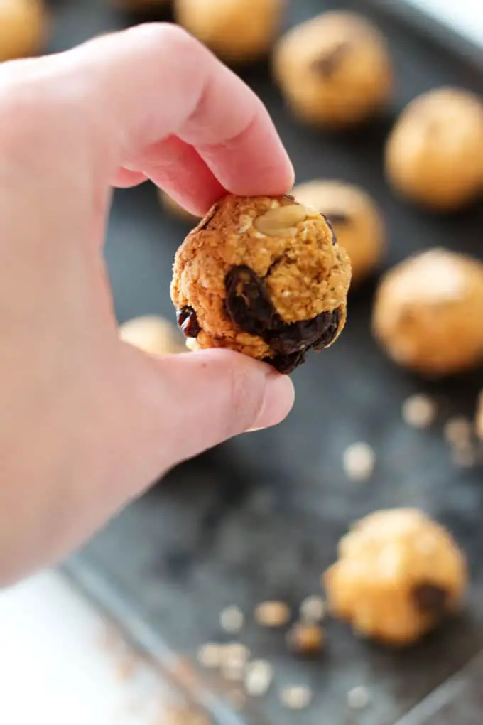 Easy to make vegan pumpkin raisin oatmeal protein bites. Omit the optional walnuts for the perfect lunch box addition.