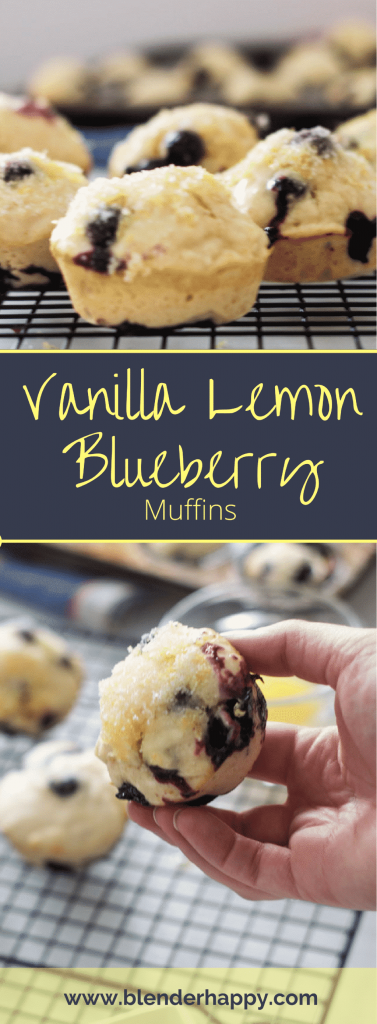 Easy, delicious Vanilla Lemon Blueberry muffins are the perfect addition to any brunch menu.