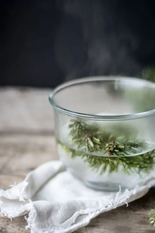 Healing Conifer Tea