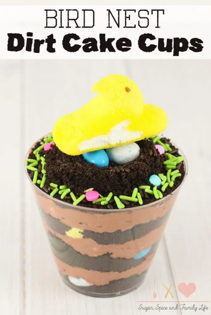 Cupcake in shape of bird nest.