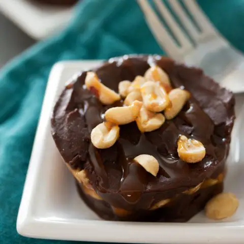 chocolate dessert topped with peanuts on white plate with fork