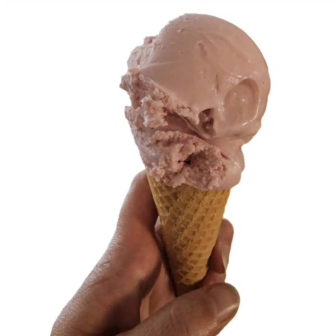 https://blenderhappy.com/wp-content/uploads/2023/06/Frozen-Yogurt-made-in-Ninja-Creami.jpg.webp